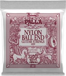 Ernie Ball 2409 . 028-. 042 6 Strings (P02409)