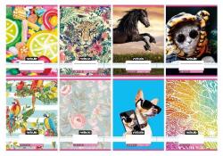 Nebulo Füzet, A5, 4. osztályos vonalas, 21-32, Cuki minták, II. , Nebulo (DB01.08106)