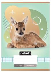 Nebulo Füzet, A5, kockás, 27-32, Állatos minták, Nebulo (DB55824) - tonerpiac