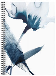 Clairefontaine Spirálfüzet Clairefontaine Inkebana A/4, 74 lapos, vonalas, margós, vegyes (115929C)