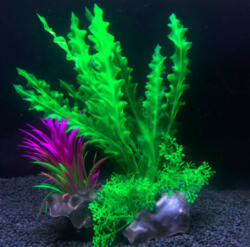  Hínár és tengerifű együttes, akváriumi műnövény talpán apró levelekkel 17 cm