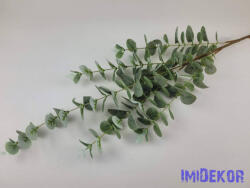  Eukaliptusz ág 97cm - Hamvas