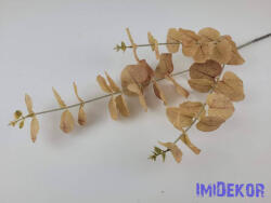  Eukaliptusz ág 75 cm - Világos Barna