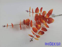  Eukaliptusz ág 75 cm - Pirosas