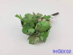  Cakkos levelű gumis bokor 21 cm - Mályvás Zöld