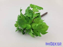  Cakkos levelű gumis bokor 21 cm - Világos Zöld Foltos