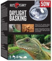 Repti Planet Daylight Basking All in One - Természetes nappali fényt sugárzó izzó (50 W)
