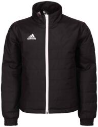 Adidas Hanorace băieți Adidas Entrada 22 Light - black (IB6069)