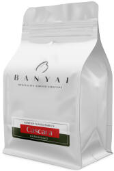 Bánya Coffee Bányai Costa Rica Cascara 100g