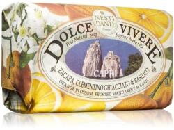 Nesti Dante Sapun vegetal Dolce Vivere Capri, 250 g, Nesti Dante