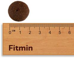 Fitmin MAXI Senior 12 kg + Fitmin Play& Train Lamb & Beef GRÁTISZ