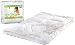  Medical® Antiallergén Takaró és Párna Szett - 160x200 cm + 4 Párna