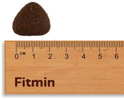 Fitmin Medium Performance 12 kg + Fitmin Play& Train Lamb & Beef GRÁTISZ