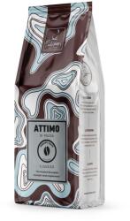 Filicori Zecchini Cafea boabe Zecchini ATTIMO CLASSICO 1 kg