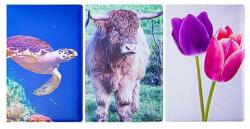  Okmánytartó Személyi Igazolvány felirattal mintás álló 4 lapos - robbitairodaszer