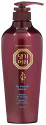 Daeng Gi Meo Ri Shampoo For Oily Scalp gyógynövényes sampon zsíros fejbőrre (DGMR1336500JA)