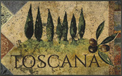 Wash+Dry Beltéri szőnyeg Estate Toscana méret: 75/120