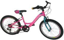 DHS Modesty 20 Bicicleta