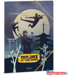 Ars Una Ninjas in the dark A/4 gumis dosszié (50214570) - nyomtassotthon