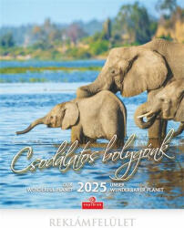 CSG Naptár, fali, CSG, Csodálatos bolygónk (NCFNU10) (FNU10)