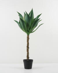 Art Home Decoration Agave