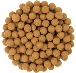 SvetPlodu Chipsuri de ciocolată cu orez cu scorțișoară - 3kg