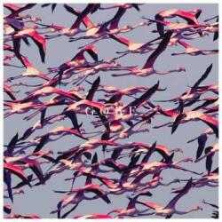 Reprise Records 2LP Deftones: Gore LTD | CLR