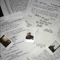 Bad Vibes Forever LP Xxxtentacion: 17