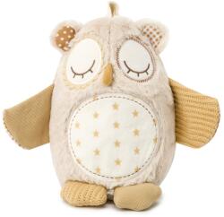 Cloud b Jucarie de plus cu white noise si senzor de miscare - Nighty Night Owl - Cloud b