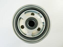 MOTAQUIP Filtru combustibil MOTAQUIP VFF457 (VFF457) - fixbox