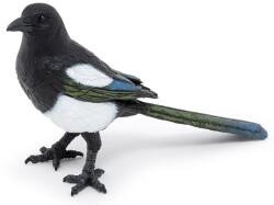 Papo Wild Animal Kingdom - figurină Magpie (50286) Figurina