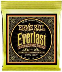 Ernie Ball 2560