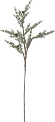 Bloomingville Creangă artificială Bloomingville pin, 91 cm (82072349)