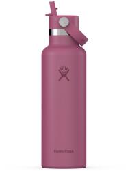 Hydro Flask Standard Mouth Water Bottle 621 ml (21 oz) with Flex Straw Cap - Reef