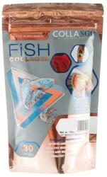 Collango Collagen Fish - meggy (clng-010)