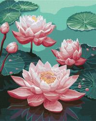 Ideyka Festés számok szerint - Rózsaszín tavirózsa 40 x 50 cm