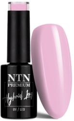 NTN Premium UV/LED Géllakk 47# (HEMA Free)