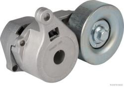 Herth+buss Jakoparts Napinák rebrovaného klinového remeňa HERTH+BUSS JAKOPARTS J1145094 (J1145094)