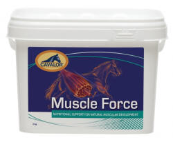 Cavalor Supliment cai reconstruire muschi Muscle Force, Versele Laga, 2 kg (472535)