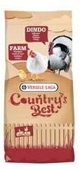 Versele-Laga Farm 2, 20 kg, furaj pui finisare granulat, proteina 15 %, Versele laga (452084)
