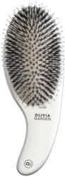 Olivia Garden Expert Care Curve Boar & Nylon Brush Silver