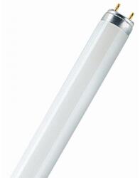 INVITAL UV lampa 15W T8, G13 (pentru TMC) (INZ09748)
