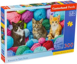 Castorland Puzzle Castorland din 300 de piese - Pisicuțe (B-030477) Puzzle