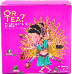 Or Tea? The Secret Life of Chai - 10 teafilter