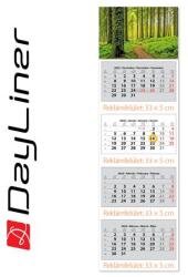 Dayliner Naptár, speditőr, négy hónapos, négy tömbös, DAYLINER (DL6SP-4H4-ER) - molnarpapir