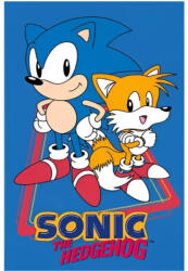 Sega Sonic a sündisznó kéztörlő, arctörlő, törölköző 30x50 cm Nr 02