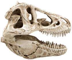 Petportal Dekor T-Rex koponya 14 x 7, 5 x 9 cm (PP39174)