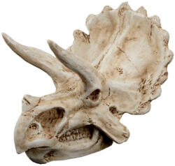 Petportal Dekor triceratops koponya 15, 5 x 11, 5 x 11 cm (PP39173)
