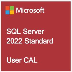 Microsoft SQL 2022 CAL English OEM OLC 10 Clt User CAL (359-06999)