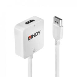 Lindy Adaptor Lindy HDMI la DisplayPort 4K M-T Alb (L38146)